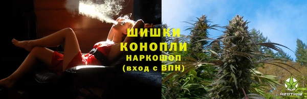 бошки Алексин
