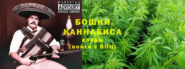 бошки Алексин