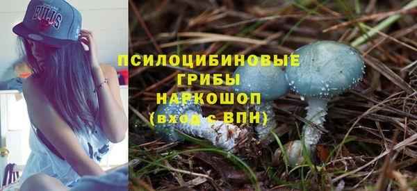 apvp Абдулино