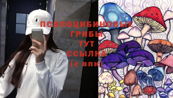 шишки Абинск