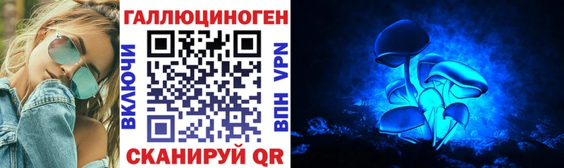 blacksprut ТОР Камызяк Галлюциногенные грибы Psilocybe