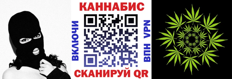 Бошки марихуана конопля  купить закладку  Камызяк 